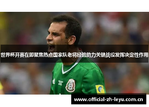 世界杯开赛在即聚焦热点国家队老将经验助力关键战役发挥决定性作用